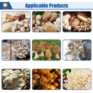 ORME, солнечная энергия, 40-футовый контейнер, фермерский дом, автоматическое оборудование для выращивания грибов - Product Image 5