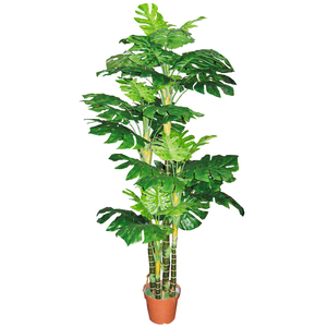 Adorno <span class=keywords><strong>de</strong></span> jardín en maceta monstera decoración <span class=keywords><strong>de</strong></span> interiores planta <span class=keywords><strong>de</strong></span> simulación bonsái planta plantas verdes artificiales pequeño bonsái - Product Image 5