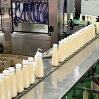 Llenadora de Botellas PET de Alta Precisión, Monobloque Independiente Especialmente Diseñada para Llenado de Jugos con Partículas de Fruta Suspendidas