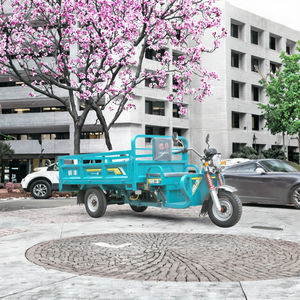 Tricycle électrique à benne basculante à carrosserie ouverte WF3000DZH, 2,2 m, vitesse variable, 3 roues, cargo, 3000 W, charge utile de plus de 400 kg, autonomie de 70 à 90 km, certifié CE 1 - Product Image 2