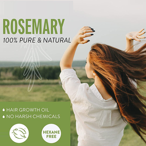 महिलाओं के तेज बालों के उपचार के लिए रोस्सेरी तेल बालों का विकास तेल - Product Image 5