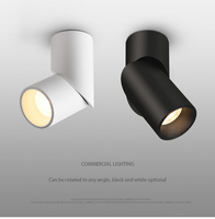Spot LED mural réglable haut de gamme au design unique, éclairage d'accentuation artistique intérieur de forme spéciale
