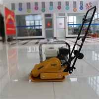 FPB-20 de compacteurs à plaques vibrantes Wacker de 85kg
