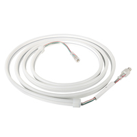 SHIJI Bande LED néon flexible en silicone à émission latérale en cuivre, sans PCB, angle de faisceau 180°, étanche, avec télécommande, pour contour de bâtiment