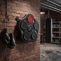Machine de boxe musicale intelligente la plus vendue, cible électronique murale, entraîneur de frappe interactif