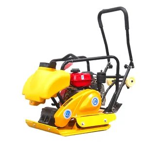 Soil Compaction Equipment Manual Vibrator Engine Plate Compactor Machine China Hot Product Customized Provided Gasoline Engines