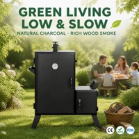 Barbecue à gaz d'extérieur avec grilles multicouches, crochets, thermomètre et protection anti-extinction de flamme pour fêtes de famille