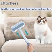 Éliminateur de poils d'animaux à long manche, brosse multifonctionnelle pour poils de chat et de chien, grattoir dépilatoire pour meubles et tapis