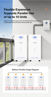 Pack de batteries au lithium LifePO4 de stockage solaire BMS mural avec chargeur rapide 25.6V 51.2V 100A 200A 300A batterie haute capacité