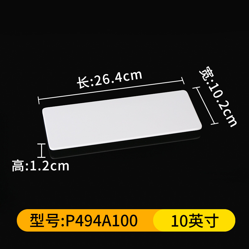 P494A100