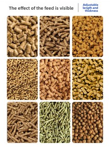 Nuova Macchina per <span class=keywords><strong>Pellet</strong></span> JINXIU ad Alta Produzione 2T/H, Dimensione <span class=keywords><strong>Pellet</strong></span> 4-6mm, per Mangime <span class=keywords><strong>Conigli</strong></span>, con Motore Elettrico 37KW, Costruzione in Acciaio Q235 - Product Image 2