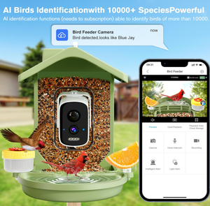 Cámara para Observación de Aves con Grabación de Video 2K HD, 5 Accesorios DIY, Identificación por IA, Captura Automática, Regalo Ideal para Amantes de las Aves, Cámara Inteligente para Comedero con Energía Solar PAV - Product Image 5