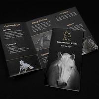 Layanan Percetakan Brosur Lipat Tiga, Selebaran, Flyer Kertas Seni Desain Bebas Kustom, Manual Instruksi, Menu, Katalog, Majalah