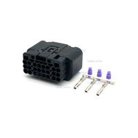 Conector Automotriz Impermeable RH7248Y-1.5-21 de 24 Pines Hembra para ECU Toyota Sumitomo, Conector de Arnés de Cables BCM con Terminal