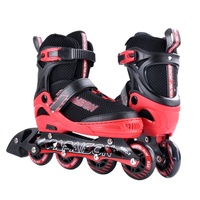 Patins à roulettes ajustables et lumineux, grandes tailles, roues en PU violettes, chaussures de fitness pour l'extérieur, pour enfants et adultes