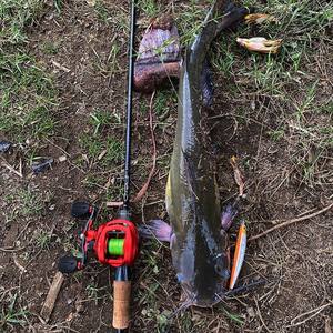 เหยื่อปลอมแบบจมช้า ขนาด 150 มม. น้ำหนัก 19 กรัม สำหรับตก<span class=keywords><strong>ปลา</strong></span>แบส แบบตีไกล ชนิดแข็ง ระบบเดดฟลาย ขายส่ง - Product Image 5