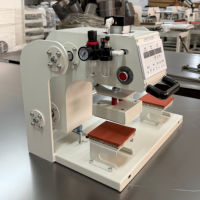 Presse à chaud pneumatique professionnelle à double plateau coulissant vers le haut 10x10 15x15 20x20mm pour l'impression de t-shirts et de vêtements