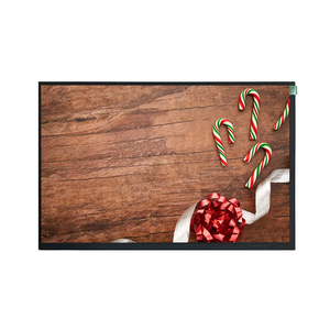 Módulo LCD TFT con Pantalla Táctil de 10.1 Pulgadas, 1920*1200, Alto Brillo de 900 Nits, Interfaz LVDS, para Vehículos Auo - Product Image 1