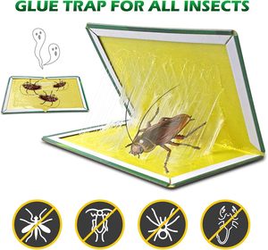Bẫy chuột bằng keo dính - Kiểm soát loài gặm nhấm không độc hại cho gia đình, nhà kho & trang trại - Product Image 3