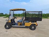 Voitures de golf électriques 2 places, buggy 4x4, batterie lithium 48V/72V, voiture de patrouille électrique, éclairage de golf