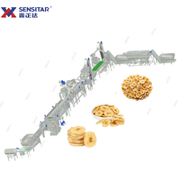 Ligne de production entièrement automatique de chips de banane et de plantain, capacité 300 kg/h