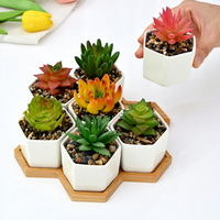 Set Pot Tanaman Sukulen Porselen Putih Gaya Nordik Desain Geometris Kreatif Wadah Tanaman Mini Heksagonal