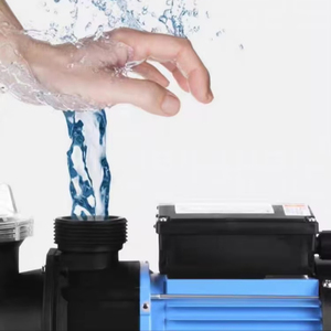 TUV CE SAA chứng nhận Bơm Lọc Hồ bơi nhỏ 0,35hp đến 1,2hp biến thể - Product Image 4