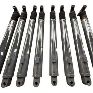 Hidráulico de Doble Acción ZhengFeng, Superficie de Acero Cromado Duro de Alta Calidad Personalizada, 1 Año de Garantía - Product Image 1