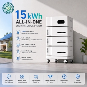 Estación de Energía Fuera de la Red Todo en Uno de 15.36kWh 51.2V LiFePO4 para Montaje en Rack, Almacenamiento de Energía Doméstica con 20-30kW - Product Image 5