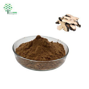 Extrait de Polyporus Umbellatus, champignon Polypore, 30% de polysaccharides - Product Image 1