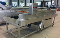 Ligne de traitement des fruits et légumes SHENGHE avec contrôle PLC, fonctions de lavage, séchage et tri, pour fruits à coque