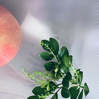 Sacs d'emballage sous vide transparents en PA/PE/Nylon de qualité commerciale, thermoscellables, résistants à l'humidité, avec impression en héliogravure, pour snacks