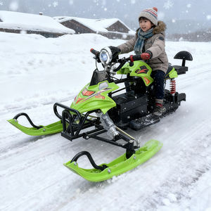 สโนว์โมบิลไฟฟ้า48V สำหรับผู้ใหญ่สโนว์โมบิลแข่ง2ที่นั่งสำหรับเล่นสโนว์โมบิลเล่นกีฬาฤดูหนาว20A - Product Image 1