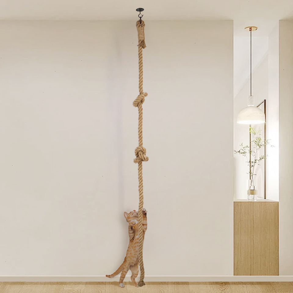 cat hanging rope for house