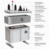 Transformateur de puissance triphasé immergé dans l'huile Huayaoda S11-10, entrée 0,4 kV 10 kV, sortie 400 V, trois enroulements