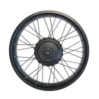Kit de conversion de moteur de moyeu arrière à engrenages sans balais pour vélo électrique Fatbike 20 pouces 20x4.0, 48V 750W 1000W