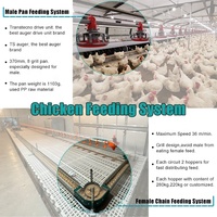 Sistema Comercial Automático de Nidificación y Recolección de Huevos, Equipo de Suelo para Cría de Aves de Corral para Críares, para Ganadería