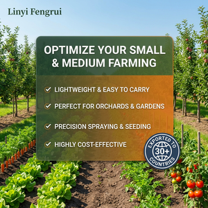 Seminatrice Manuale di Precisione a Spinta Singola per Mais, Grano, Arachidi e Fagioli - Product Image 4