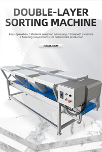 Machine de tri et de calibrage optique électronique pour tomates, pommes de terre, oignons, mangues, pommes, oranges, fruits et légumes - Product Image 6