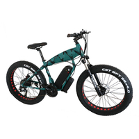 Ban sepeda listrik 48v lemak 1000 w, ban sepeda listrik lemak 750w 500w/ban listrik sepeda lemak