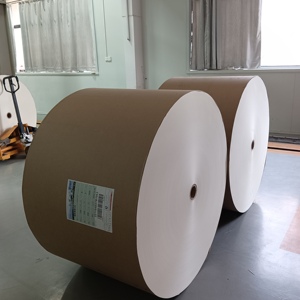 High Quality Factory Wholesale Coated PE Single Side Ivory Board Craft <b>Paper</b> White Cardboard Jumbo Roll for Gift Box - Product Image 4