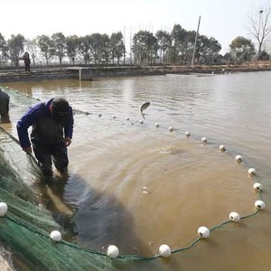 0.20mm 200m Longueur Sortie D'usine OEM Multifilament HDPE <span class=keywords><strong>Plage</strong></span> Seine Drag Net Chalut Net <span class=keywords><strong>Filet</strong></span> <span class=keywords><strong>De</strong></span> Pêche - Product Image 4