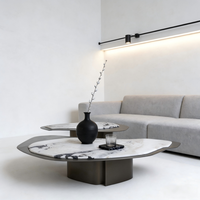 Table basse moderne en marbre de luxe léger avec structure métallique durable, meuble décoratif haut de gamme pour salon