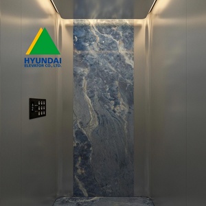Ascensor de Pasajeros Hyundai para 13 Personas / Ascensor de Pasajeros Alemán / Ascensor de Pasajeros Económico Blt 1000 Kg - Product Image 4