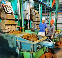 Palmolie-Extractiemachine Oliepalmverwerkingsfabriek Oliepalmverwerkingsmachines