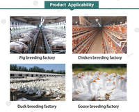 Additif alimentaire anti-été pour les journées chaudes Menthol Vitamine C refroidir la température corporelle améliorer la consommation alimentation des poulets et des porcs