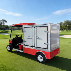 Carrito de Golf Eléctrico de Acero Inoxidable de China para Limpieza, Suministro de Alimentos y Otros Fines - Product Image 1