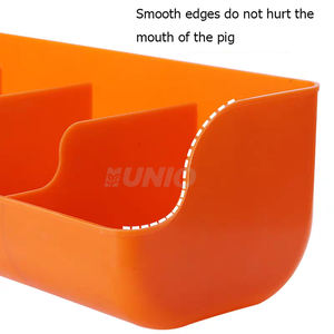 Comedero Automático de Gran Venta con Cinco Compartimentos para Cerdos y Lechones - Product Image 4