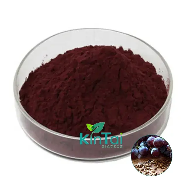 Natuurlijke Antioxidant Organische Druivenzaad Extract Opc 95% Proanthocyanidines Anthocyanine Poeder