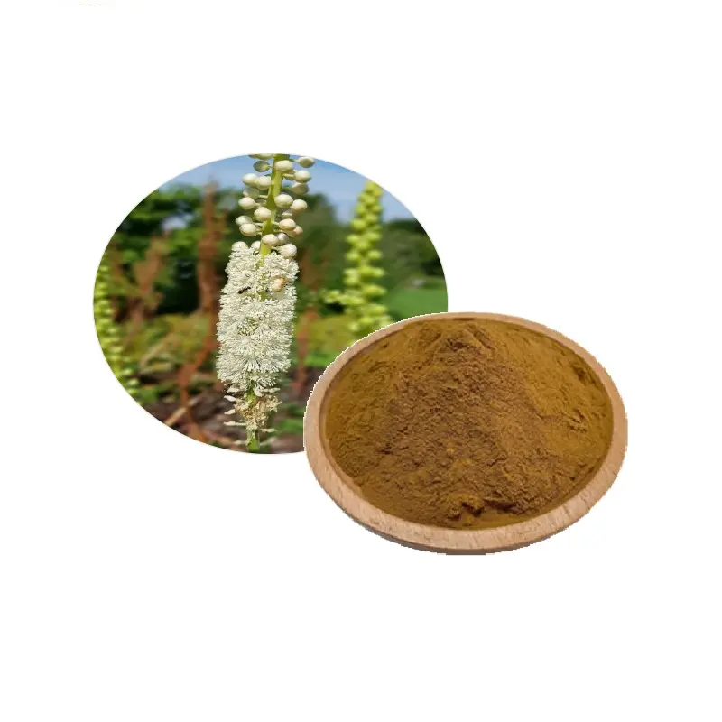 Natural Black Cohosh Extract Triterpene Glycosides Powder 2.5% 8% Black Cohosh Root Extract Powder